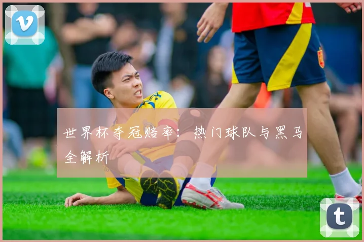 世界杯夺冠赔率：热门球队与黑马全解析