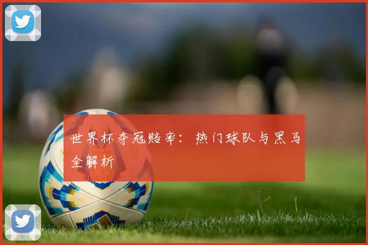 世界杯夺冠赔率：热门球队与黑马全解析